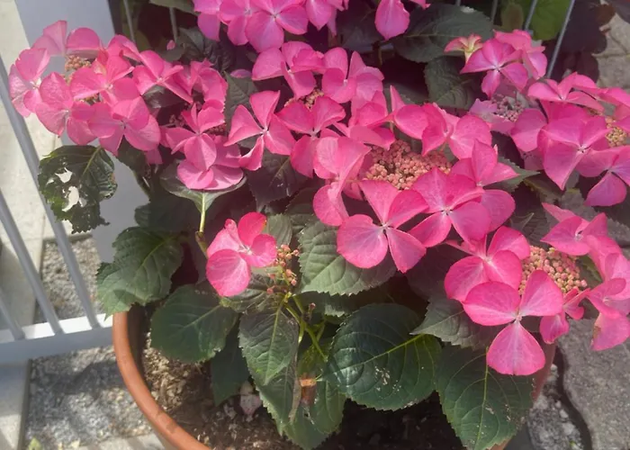 Innatura Velden Апартаменты Фельден-ам-Вёртер-Зе